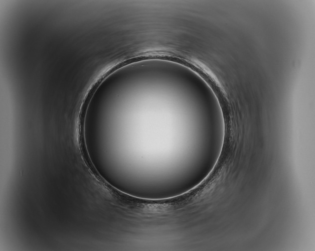 X0000100311277200806051448