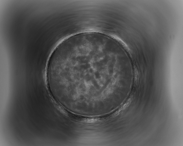 X0000100311278200806051448