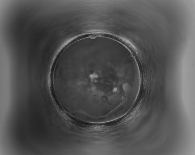 X0000100311279200806051448
