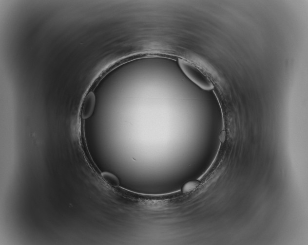 X0000100311280200806051448