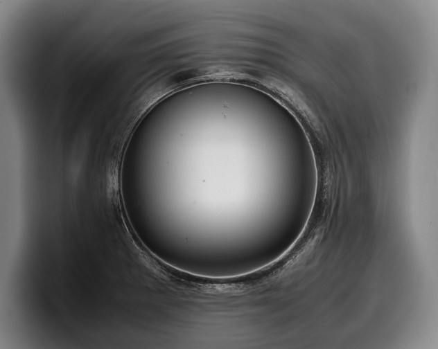 X0000100311281200806051448