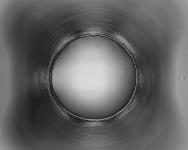 X0000100311282200806051448