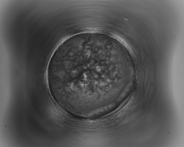 X0000100311283200806051448