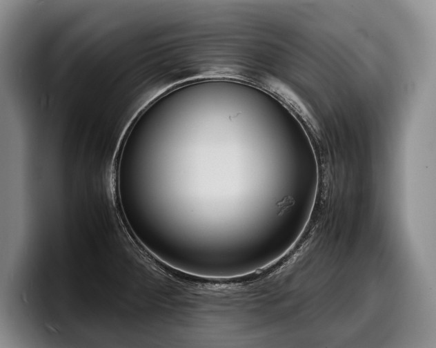 X0000100311284200806051448