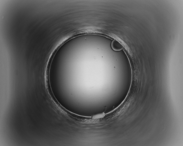 X0000100311285200806051448