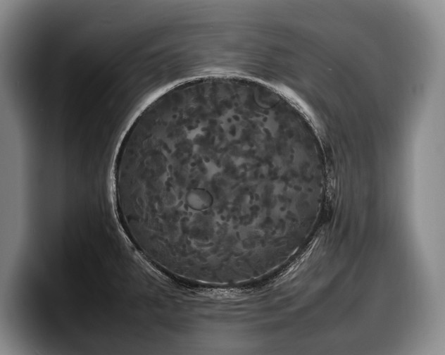 X0000100311287200806051448