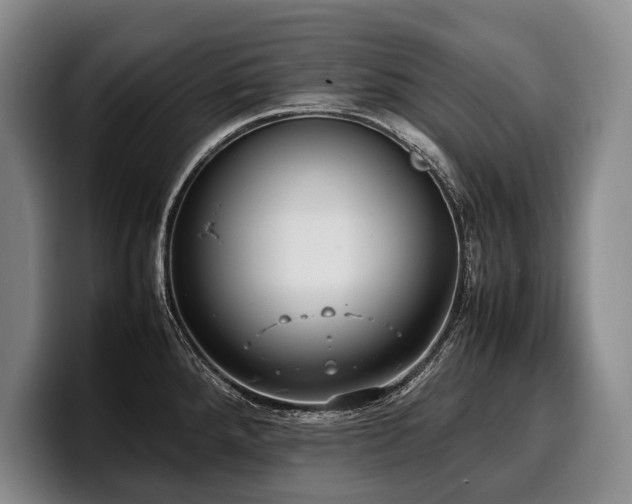 X0000100311288200806051448