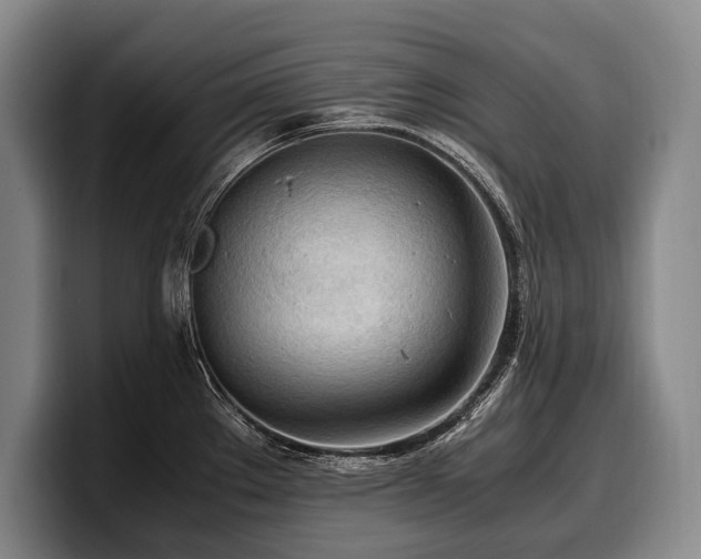 X0000100311289200806051448