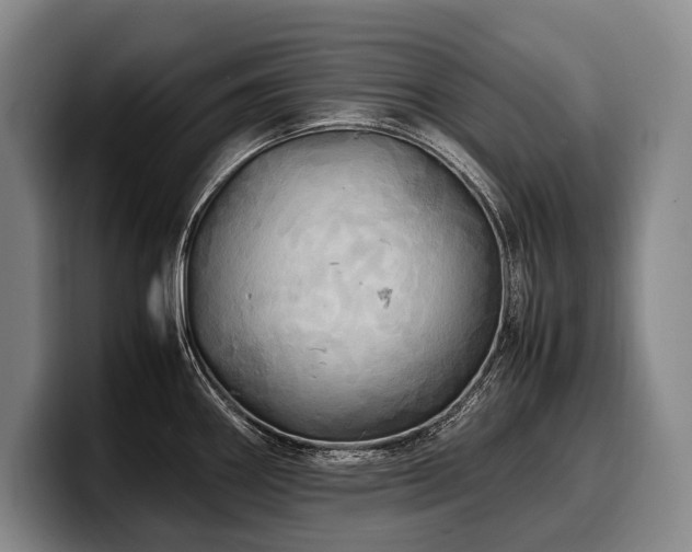 X0000100311290200806051448