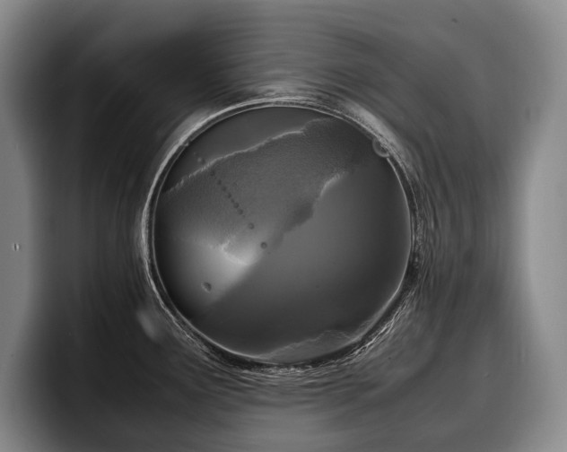 X0000100311291200806051448
