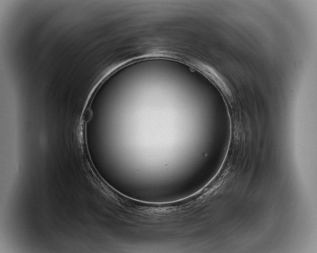 X0000100311292200806051448