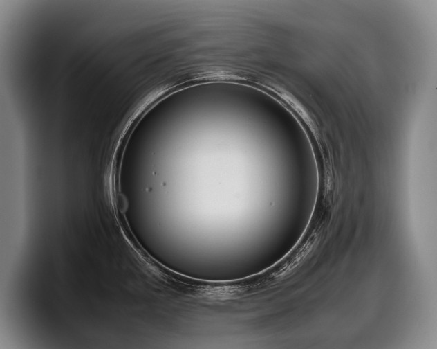 X0000100311293200806051448