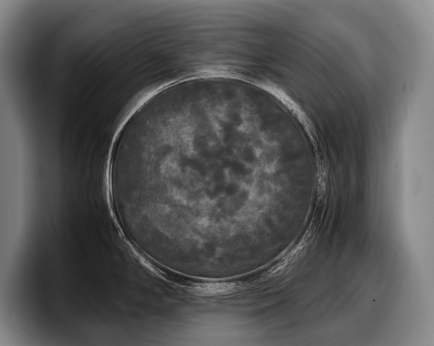 X0000100311294200806051448