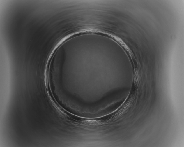 X0000100311295200806051448