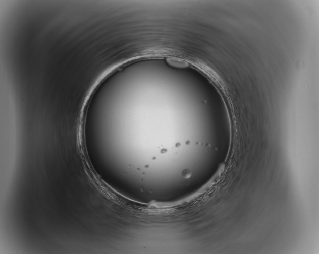 X0000100311296200806051448