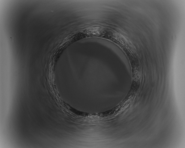X0000100311297200806051447
