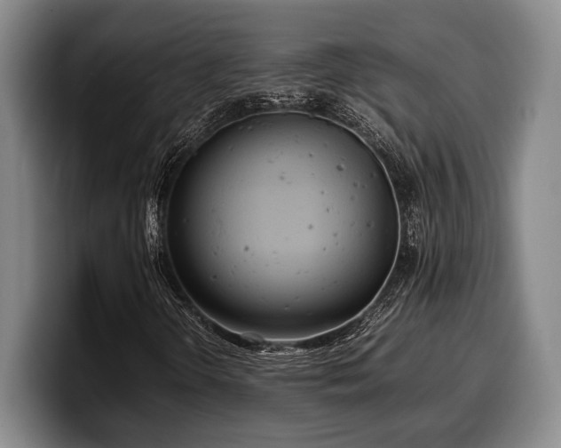 X0000100311298200806051447