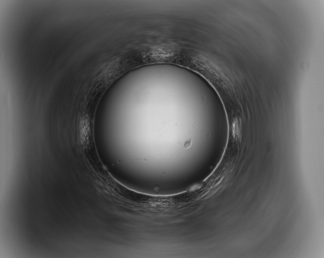 X0000100311299200806051447