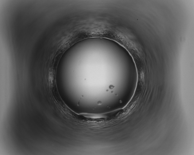 X0000100311300200806051447