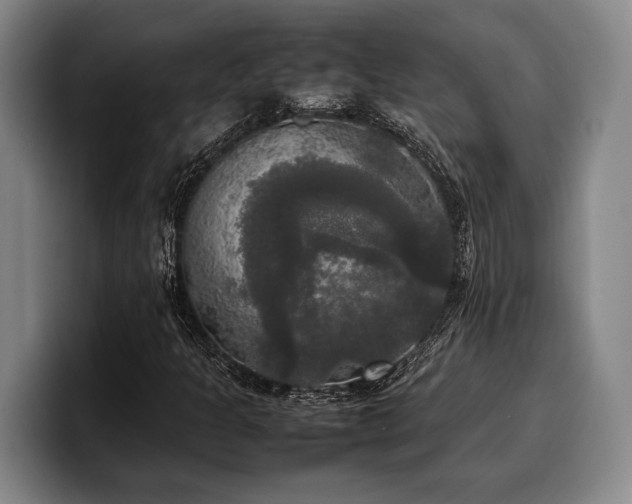 X0000100311301200806051447