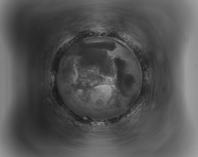 X0000100311302200806051447