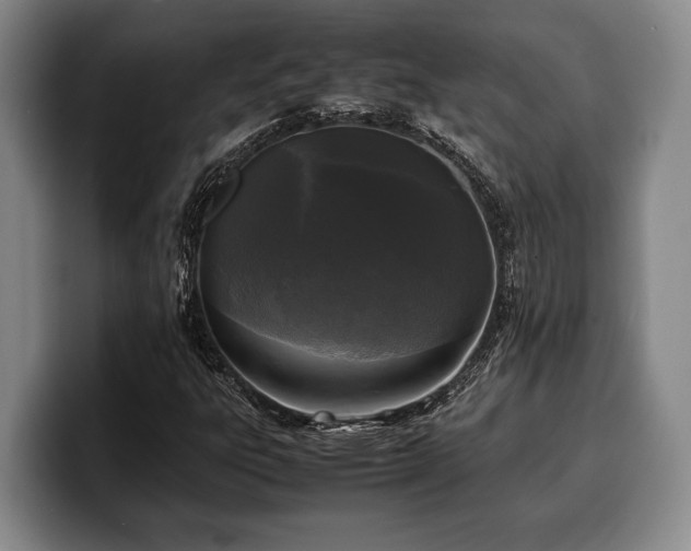 X0000100311303200806051447