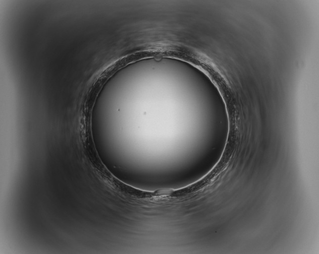 X0000100311304200806051447