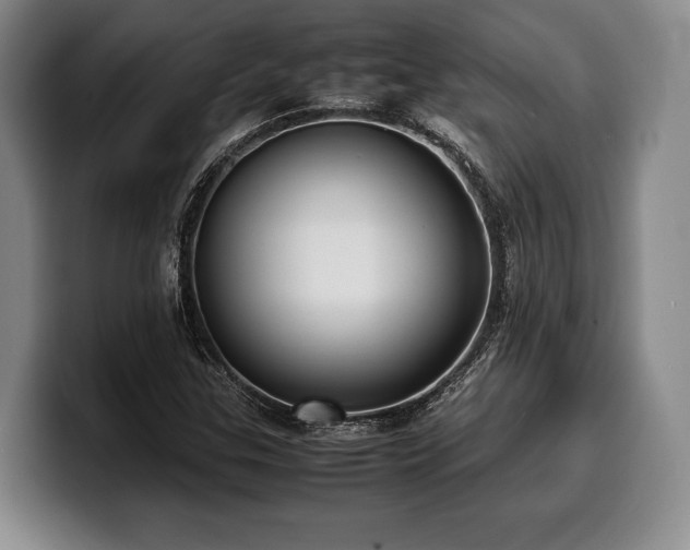 X0000100311307200806051447
