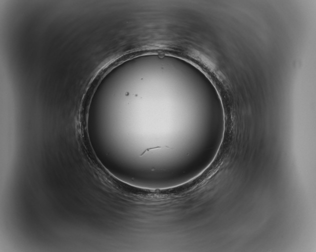 X0000100311308200806051447