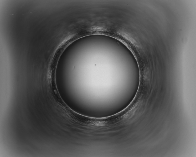 X0000100311309200806051447
