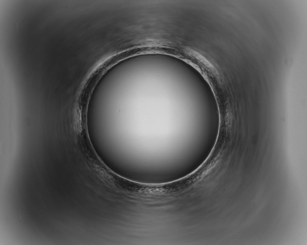 X0000100311310200806051447