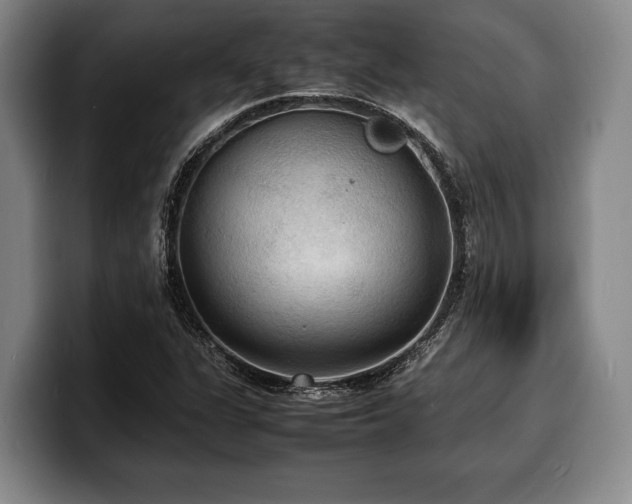 X0000100311311200806051447