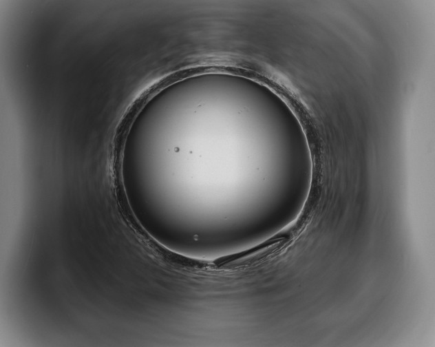 X0000100311312200806051447