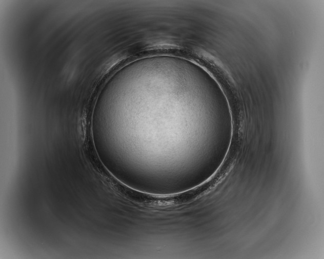 X0000100311313200806051447