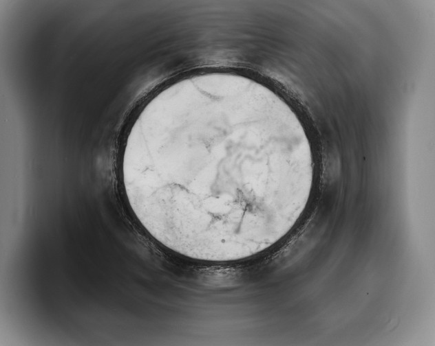 X0000100311314200806051447