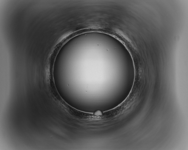 X0000100311315200806051447