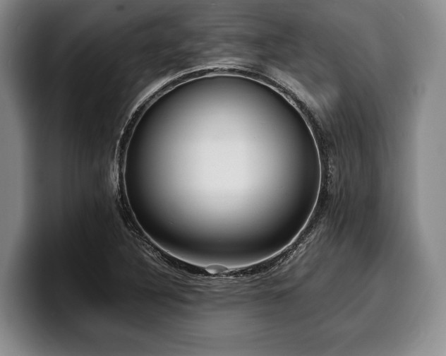 X0000100311316200806051447