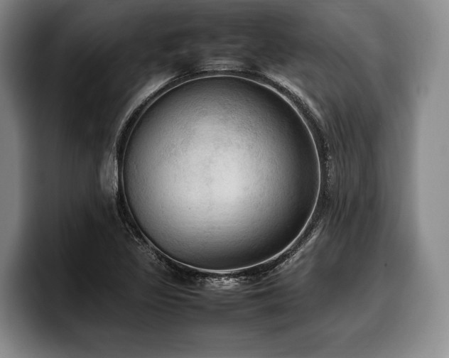 X0000100311317200806051447