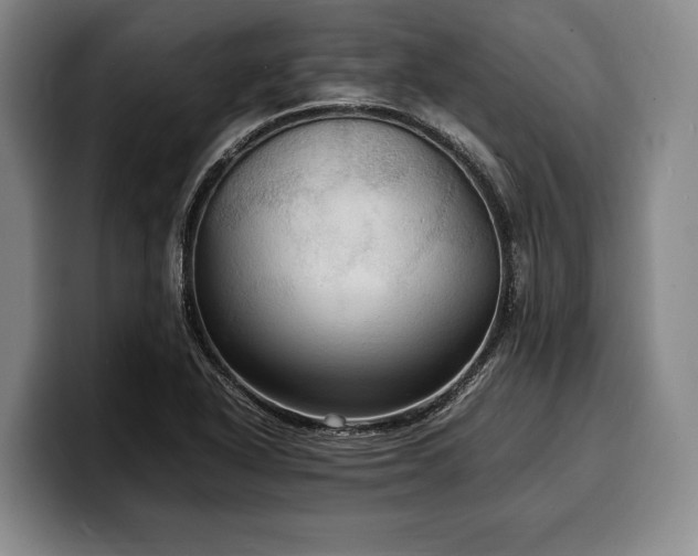 X0000100311318200806051447