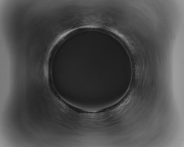 X0000100311319200806051447