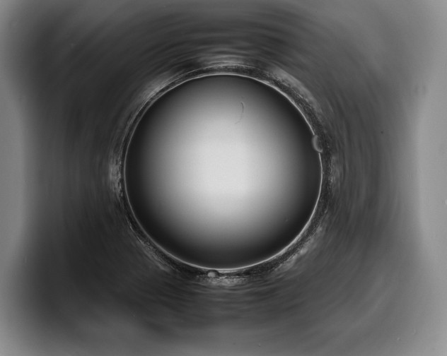 X0000100311321200806051447