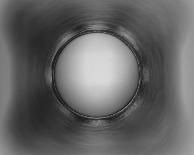 X0000100311322200806051447