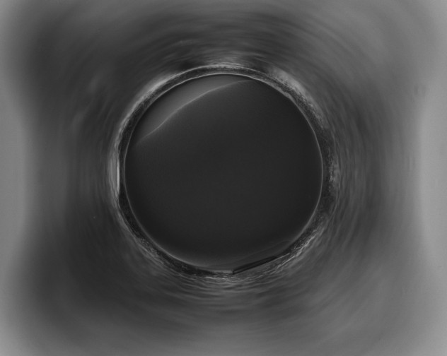 X0000100311323200806051447