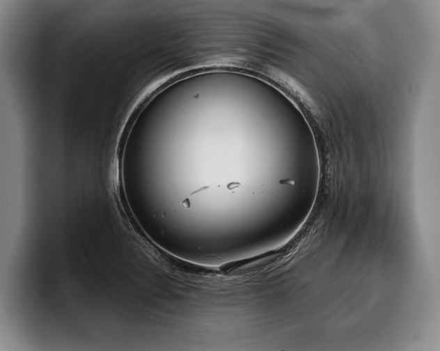 X0000100311324200806051447
