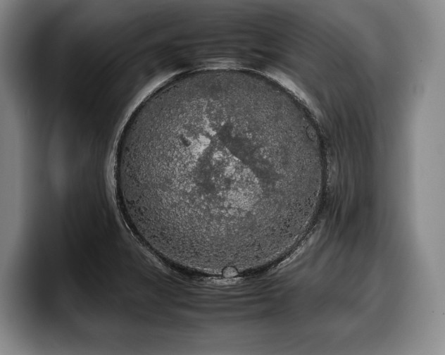 X0000100311325200806051447