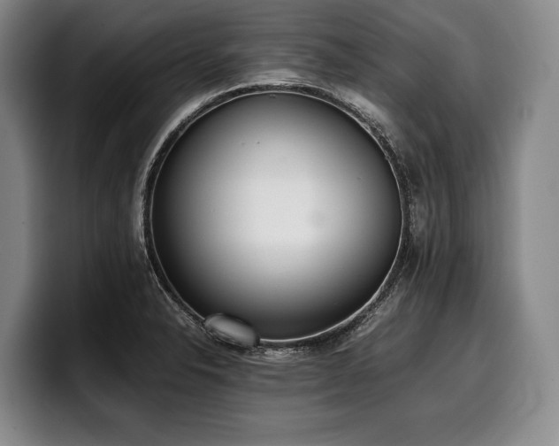 X0000100311326200806051448