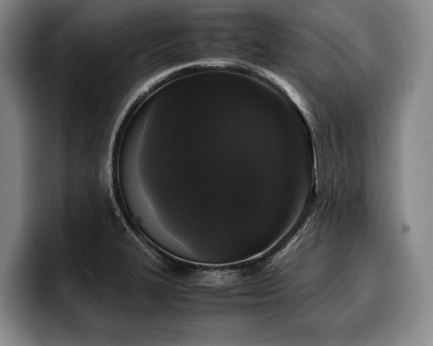 X0000100311327200806051448