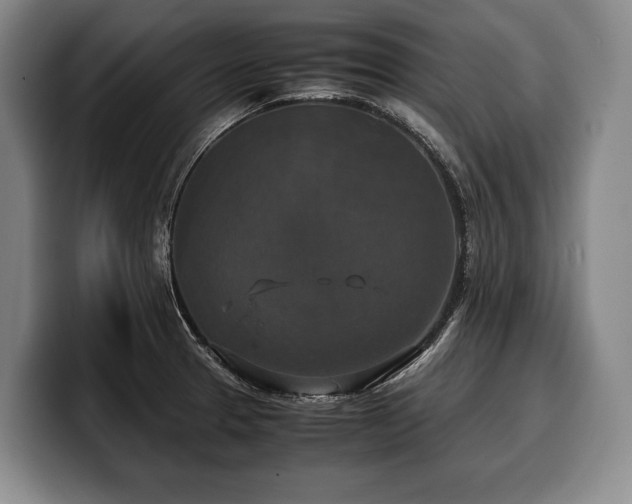 X0000100311329200806051448