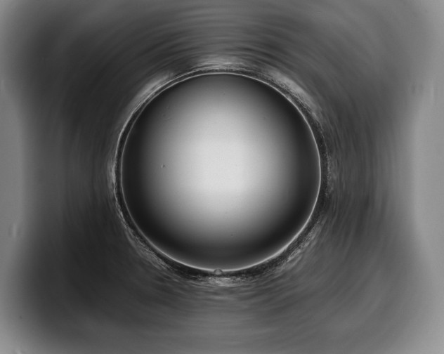 X0000100311330200806051448