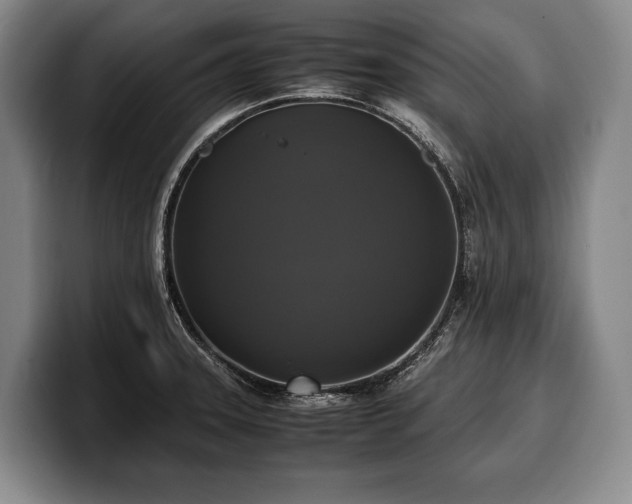 X0000100311331200806051448